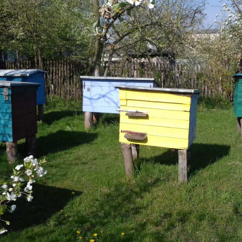 ПРОДАЖ БДЖОЛОПАКЕТІВ